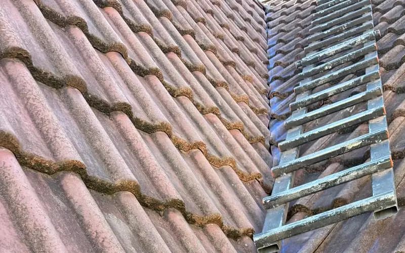 Tuiles mécaniques anciennes, mousse installée le long de chaque rang, échelle de couvreur posée près d'une noue